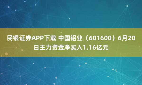 民银证券APP下载 中国铝业（601600）6月20日主力资金净买入1.16亿元