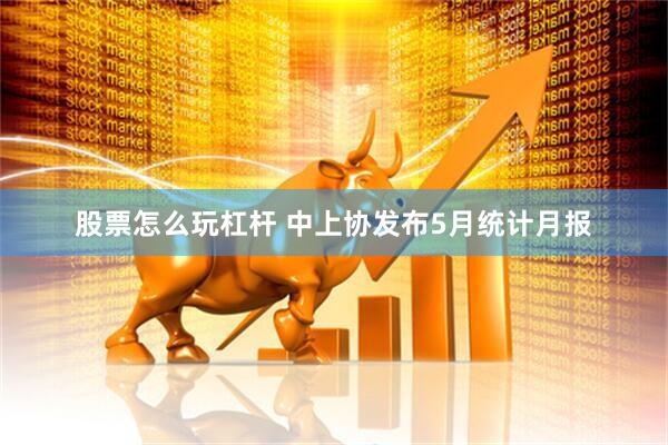 股票怎么玩杠杆 中上协发布5月统计月报