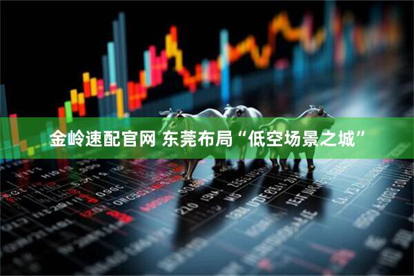 金岭速配官网 东莞布局“低空场景之城”
