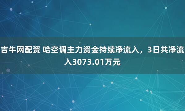 吉牛网配资 哈空调主力资金持续净流入，3日共净流入3073.01万元